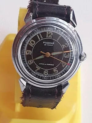 Vintage RODINA 22 Jewels Automatic USSR Made Watch • $160