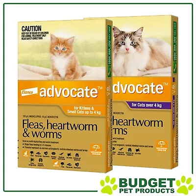 Advocate For Cats & Kittens - 3/6/9 Pack - All Sizes • $142.04