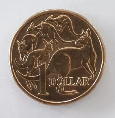 2022 Australian One Dollar $1 Coin  MOB OF ROOS Low Mintage • $4