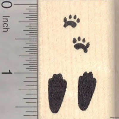 Rabbit Paw Print Rubber Stamp Bunny Tracks Hare D5414 WM  • $14