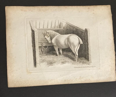 £9.99 • Buy Etching By Samuel Howitt  HORSE