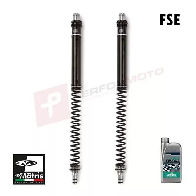 Matris FSE Hydraulic Fork Kit To Fit Triumph 900 Street Scrambler 2019-2022 • $424.04