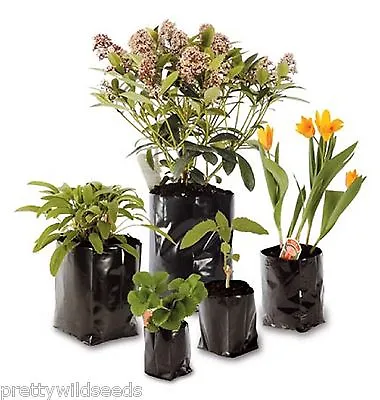 Poly Pots Strong Grow Bag Containers - Many Sizes - HADOPOTS - Plastic Plant Pot • £2.99