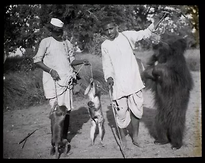 £15 • Buy Magic Lantern Slide BOYS WITH DANCING BEAR AND MONKEYS C1910 PHOTO MIDDLE EAST