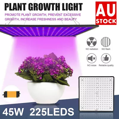 2000W 225 LED Grow Light Hydroponic Kits Growing Lamp Plant Flower Veg Indoor AU • $27.59