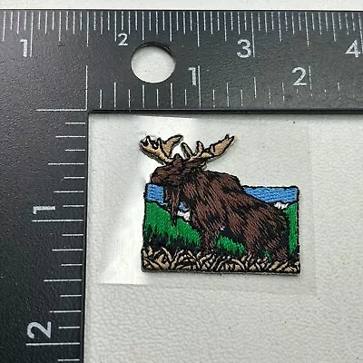 Itty-Bitty-Tiny Animal MOOSE Patch (Back Sticky-but Should Be More Sticky)19RI • $4.95