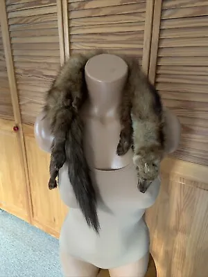 Vintage Full Pelt Mink Collar Scarf Taxidermy 1950’s 1960’s “Dawn” Colored Fur • $45