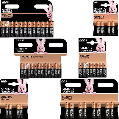 Duracell AA AAA Batteries Simply Alkaline Long Lasting LR03 LR6 Far Expiry • £4.75