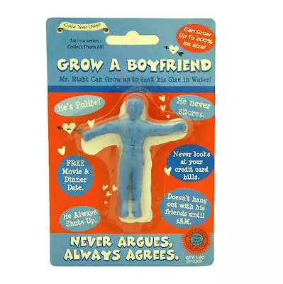 Grow Your Own Boyfriend Fun Funny Novelty Joke Prank Party Adult Secret Santa • $16.10