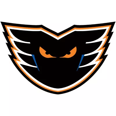 $43.95 • Buy Lehigh Valley Phantoms AHL Decal ~ Vinyl D2