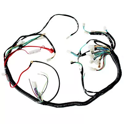 Engine AC Wiring Harness Wiring Loom 150cc 250cc PIT Quad Dirt Bike ATV Buggy C • $27.94