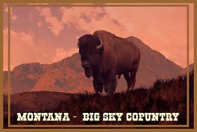 Montana Big Sky Country Travel Poster Large 16x24 Native Indian Land • $20.95