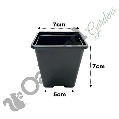 7cm Square Plant Pots ( 2.5  ) Black Plastic Nursery Seed Flower Pot Qty = 100 • £8.75