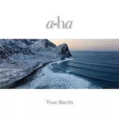 True North - A-Ha Vinyl • £34.99