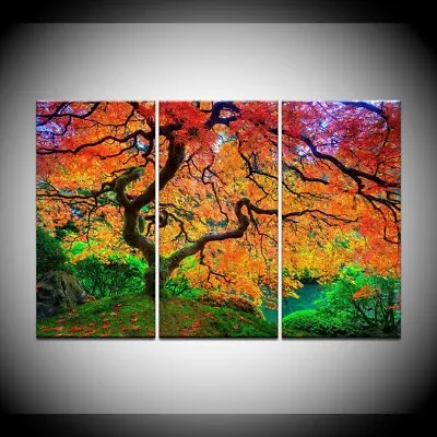 Colorful Tree Scenery 3 Piece Canvas Print Wall Art Poster Home Decoration • $103.85