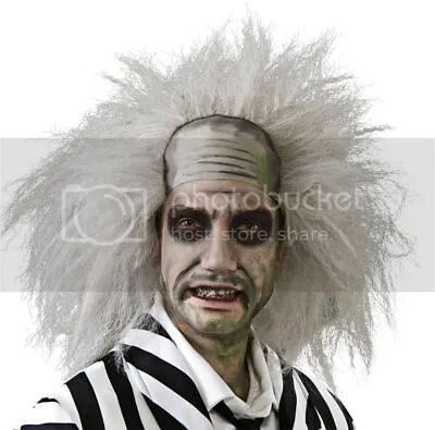 Adult BEETLEJUICE White Mad Scientist Grey Crazy Costume Wig • $29.95