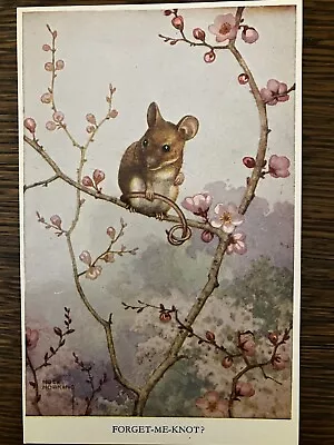 Forget Me Knot-Mouse-Flowering Tree-Signed Artist Noel Hopking-Vintage Postcard • $2.99