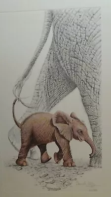 £39.99 • Buy Elephants Leading The Way By Warwick Higgs Limited Edition Reduced