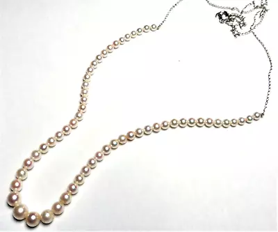 Gorgeous Stationed Pearl Necklace On Sterling Chain - Repurposed Mikimoto Strand • $457