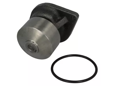 DOLZ DOLZ L216 Water Pump OE REPLACEMENT • $234.43