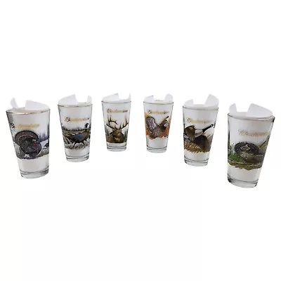 Vintage Budweiser Pint Beer Glasses Wildlife Series Outdoor Scenes 1999 Set Of 6 • $47.47