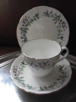 Lovely Mayfair Bone China Trio  • £6