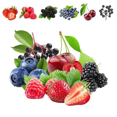 1100pcs Mixed Fruit Seeds Berry Seeds For Planting - Individually Packaged • $16.06