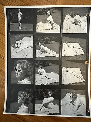 VTG 1950s 8x10 B&W PHOTO CONTACT SHEET BLONDE PINUP BULLET BRA CAT EYE SPECS 804 • $17.99