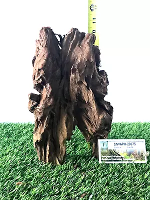 Malaysian Driftwood For Aquarium Fish Tank Reptile Natural Pet Safe -M 11x8x5 • $29.99