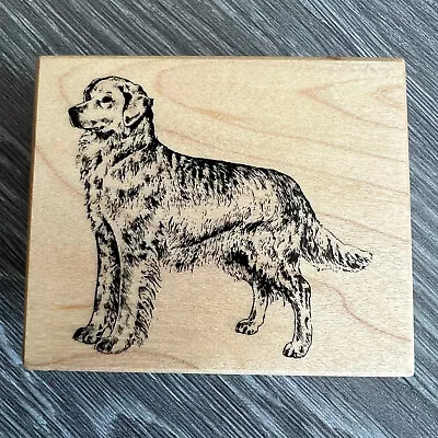 Dog Golden Retriever Rubber Stamp PSX E-497 • $9.99