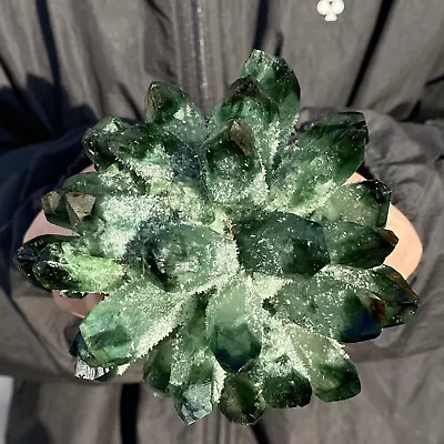 1.5LB New Find Green Phantom Quartz Crystal Cluster Mineral Specimen Healing • $1.25