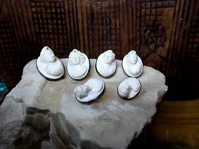 Lava Cameo Buttons Silver Meerschaum Hallmarked Antique Victorian Graduated Set# • £345