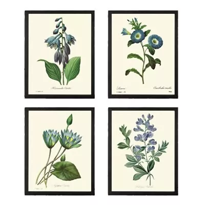 Blue Flowers Botanical Wall Art Set Of 4 Prints Beautiful Vintage Unframed • $48