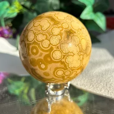 725G Amazing Druzy Ocean Jasper Orbicular Sphere Reiki Crystal Display Healing • $180