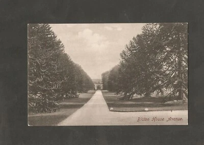£3.99 • Buy Postcard Devon Exmouth Bicton House Avenue Frith 26247