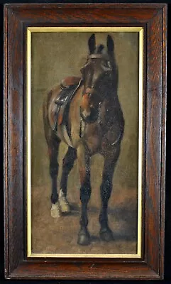 C. 1900 PORTRAIT OF A BAY HORSE IN STABLE ANTIQUE OIL ON CANVAS ANIMAL PAINTING • £260