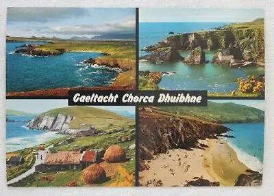 Vintage John Hinde Original Postcard Gaeltacht Chorca Dhuibhne Ireland Multiview • $1.50