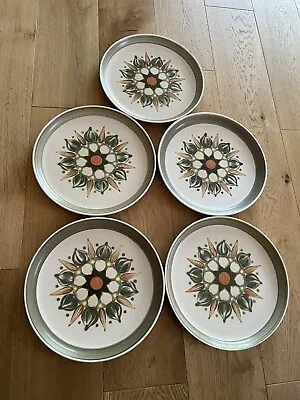 £7.95 • Buy Sherwood By Denby Langley Pottery Dinner Plates X 5 - 10 Inch Round  1960’s Vgc