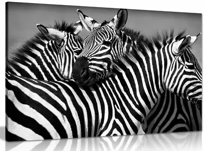 Black & White Zebra Canvas Wall Art Picture Print • £34.99