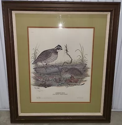 Signed Bobwhite Quail Art Print By Tony Biagi - Framed Matted - 28.25  X 24.25  • $227.77