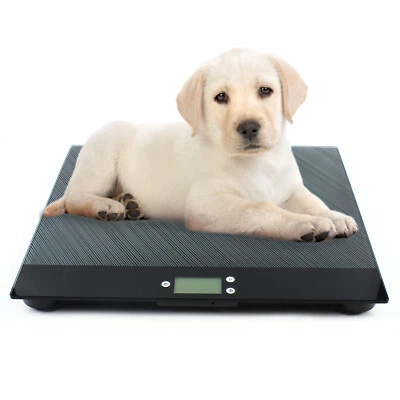 $76 • Buy 220LB Digital Pet Scale Scale Large Dog Cat Animal For Pet Hospital Farm Home US