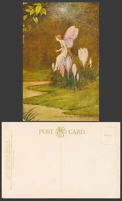 Ida R Outhwaite Old Postcard Fairy Girl Seated On Edge Of Mauve Crocus Spiderweb • £17.99
