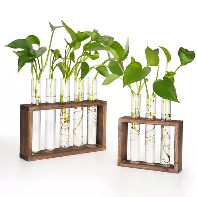 Test Tube Stand Decor Flower Vase Asthetic Modern Bud Vase Plant For Garden • $7.99