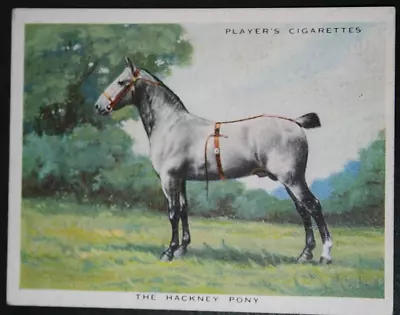 HACKNEY PONY  Vintage 1930's Illustrated Card   XC19 • $7.45