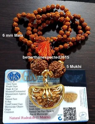 1 Mukhi Ek Rudraksha One Face Rudraksh With 5 Mukhi Rudraksh Mala~ Lab Certified • $26.89