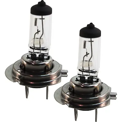 Head Light Driving Headlamp Headlight Bulbs Set Of 2  Driver & Passenger Pair • $12.90