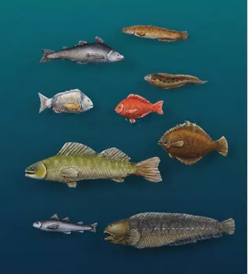 Resin Model 1:35 Modern Animal Fish Model Play 2105y New Model • $12.99