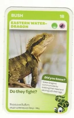 Woolworths Aussie Animals 2014. Eastern Water-dragon • $2.99