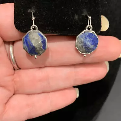 Adorable Lapis Lazuli Earrings • $13