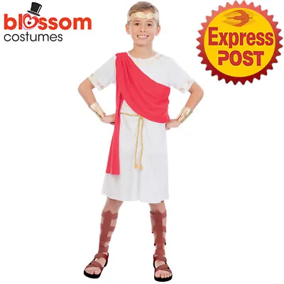 CK2510 Toga Boy Green Roman Boys Kid Costume Warrior Medieval Book Week Outfit • $19.80